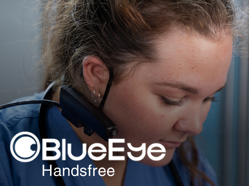 12-1 BlueEye Handsfree | RedZinc Services
