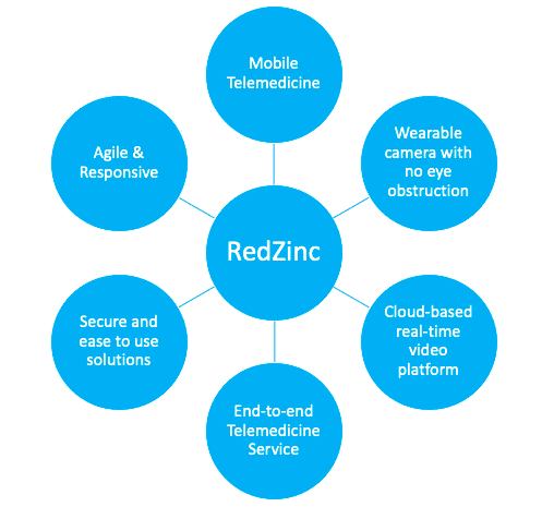 Screenshot-2021-10-27-at-1.28.43-PM RedZinc's Unique Value Proposition (USP) | RedZinc Services