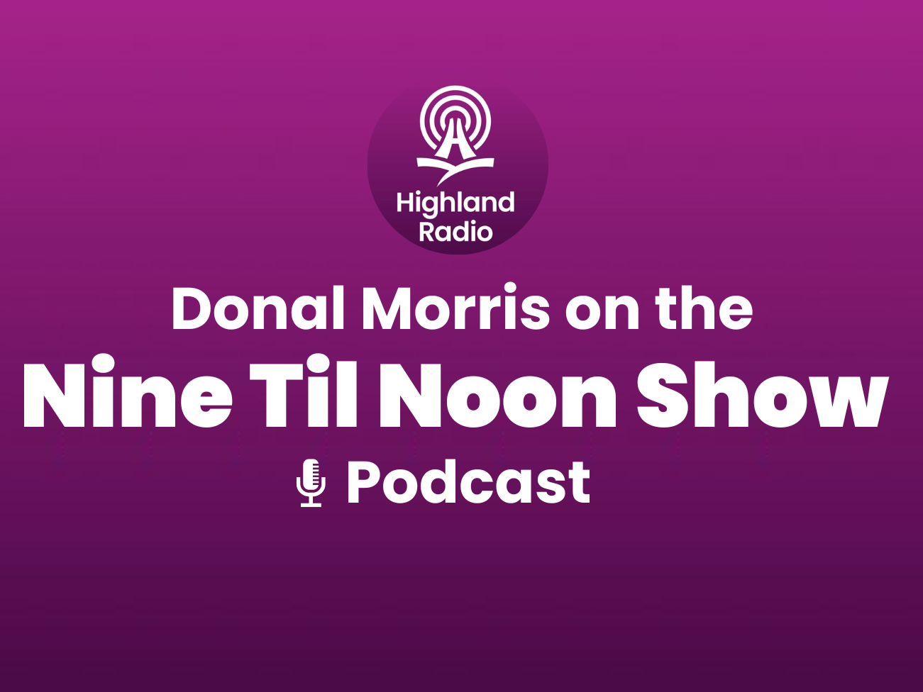 RedZinc CEO Donal Morris features on the Nine Til Noon Show