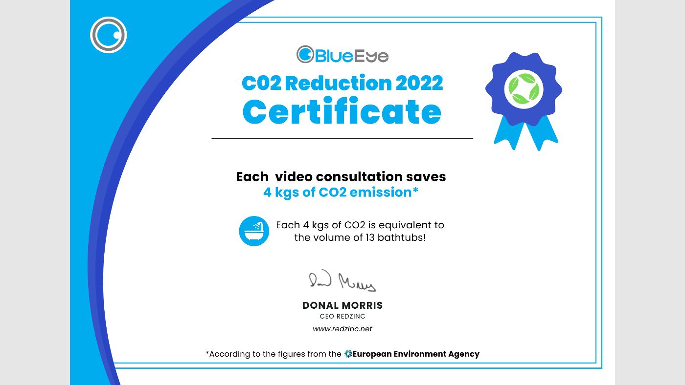 co2 BlueEye Sustainability Award | RedZinc Services