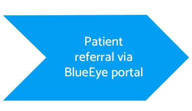 virtualward7-1 BlueEye Virtual Ward | RedZinc Services